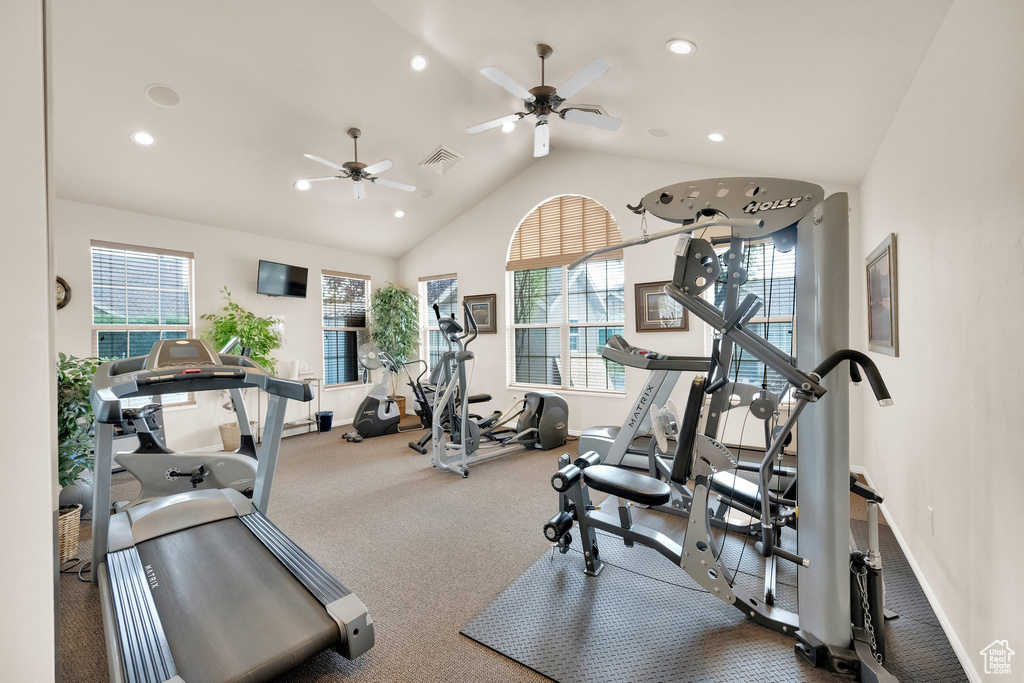 Gym with a wealth of natural light, carpet, lofted ceiling, and visible vents