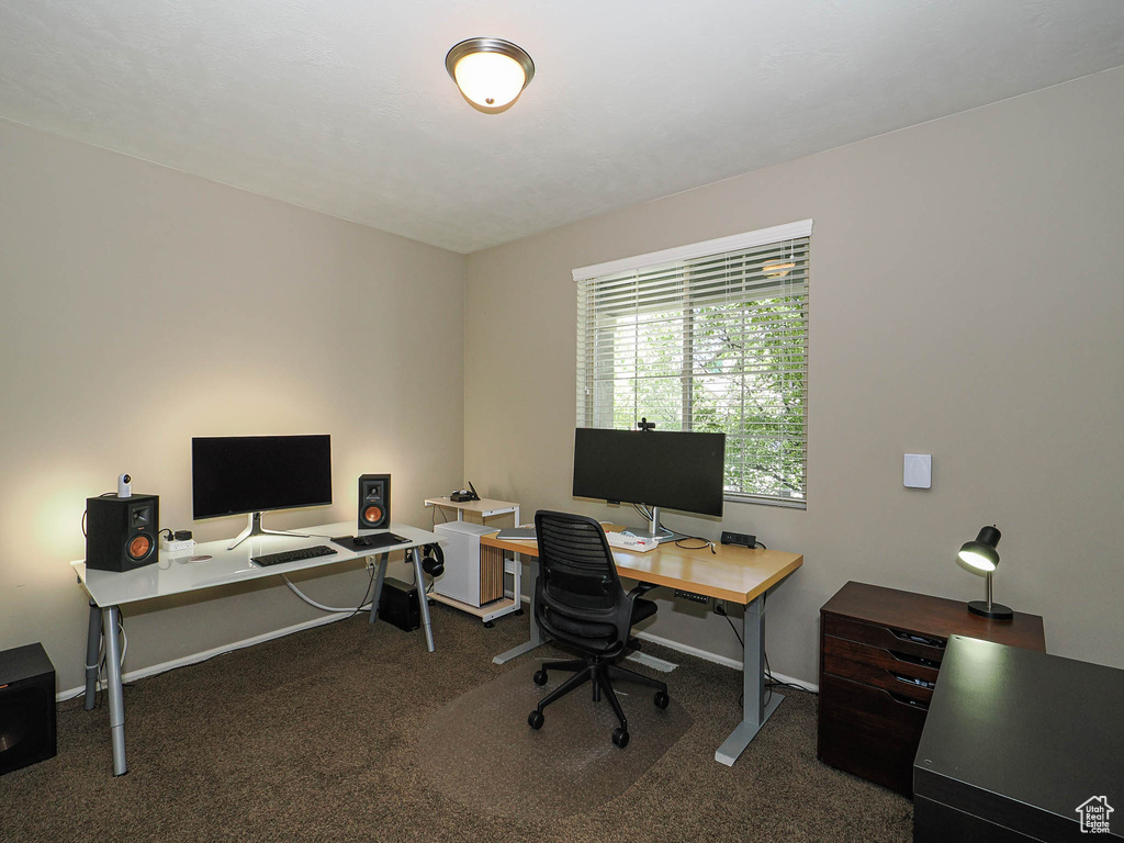 Home office featuring carpet floors and baseboards