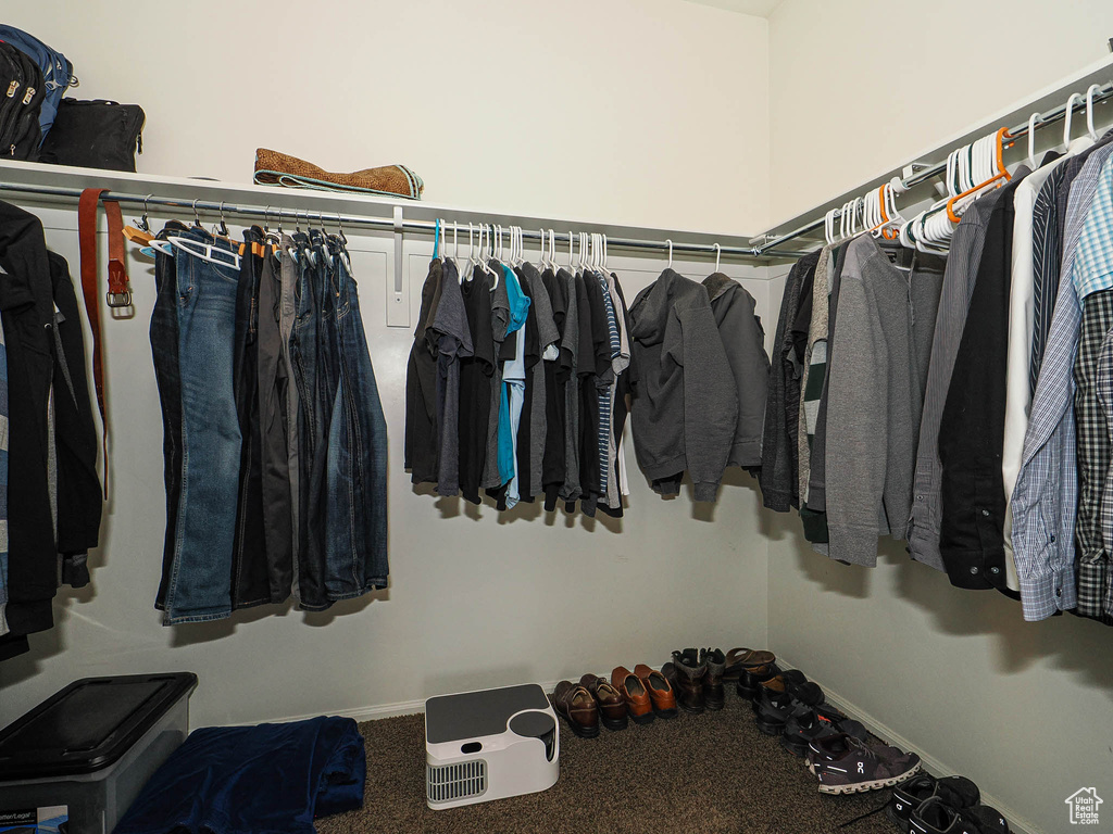 Walk in closet featuring carpet