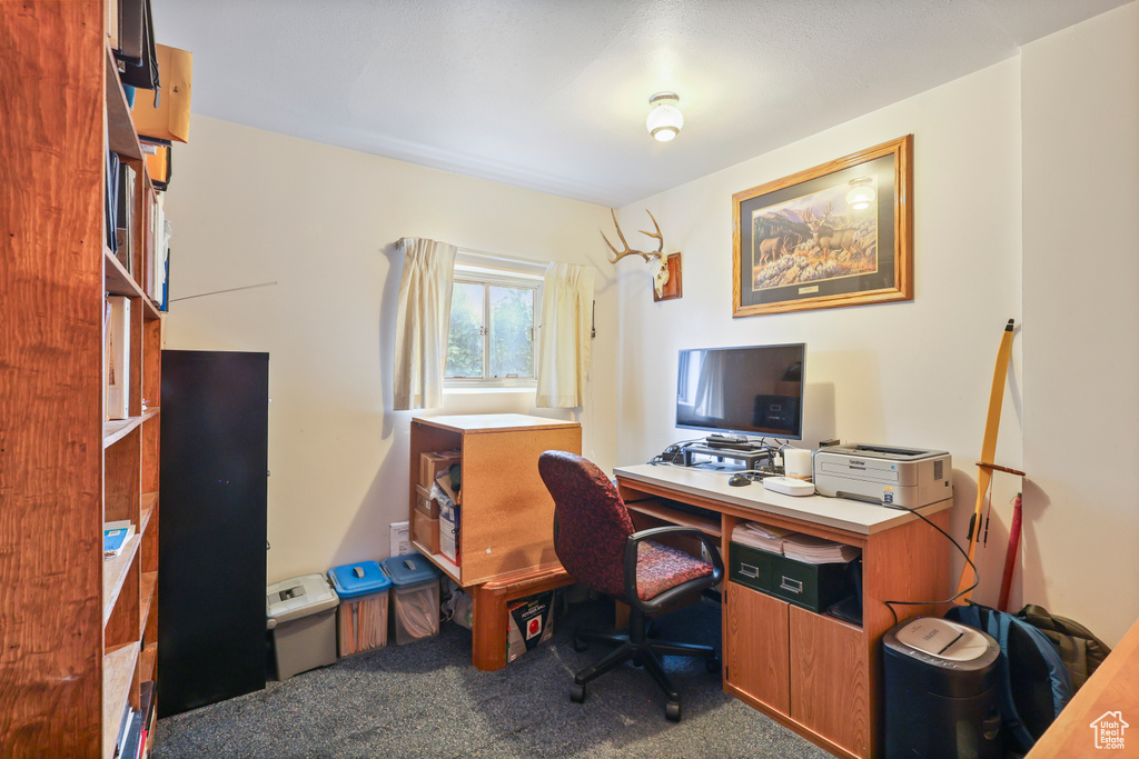 View of carpeted home office