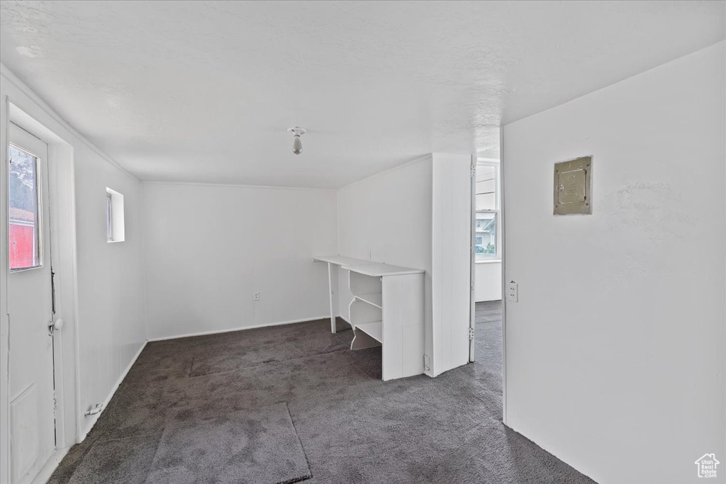 Basement with carpet flooring and electric panel