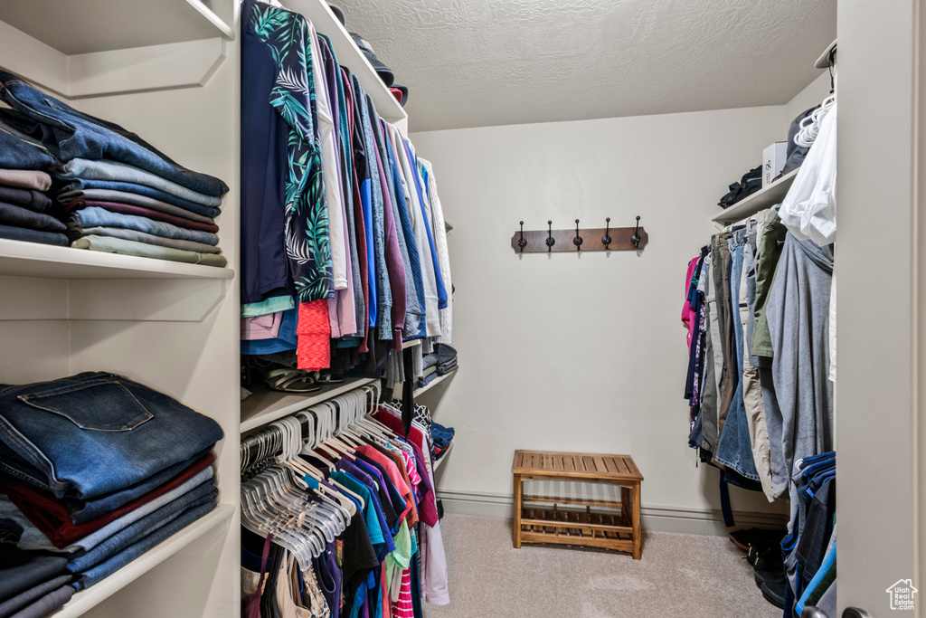 Spacious closet featuring carpet