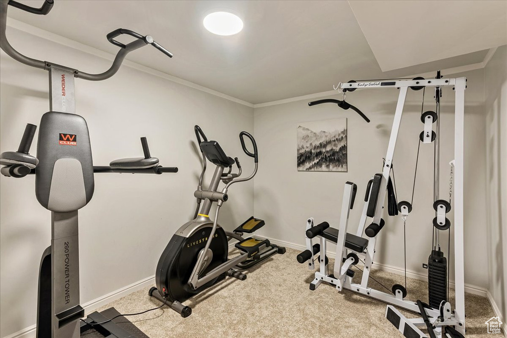Workout area featuring crown molding, carpet, and baseboards