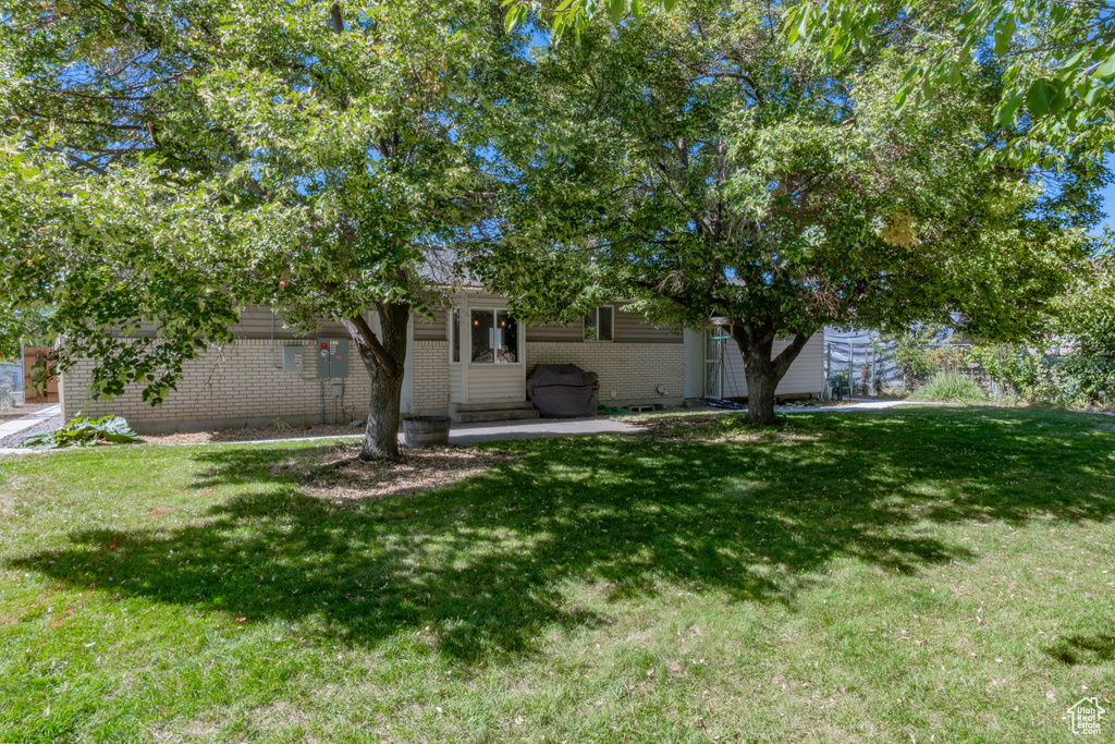 View of yard featuring a patio