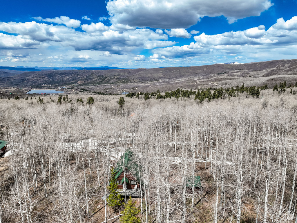 View of mountain feature