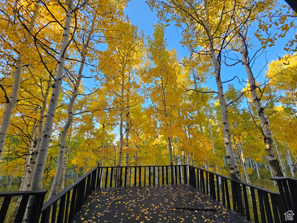 View of wooden deck