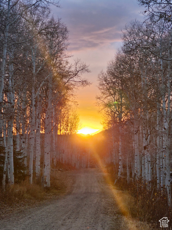 View of road