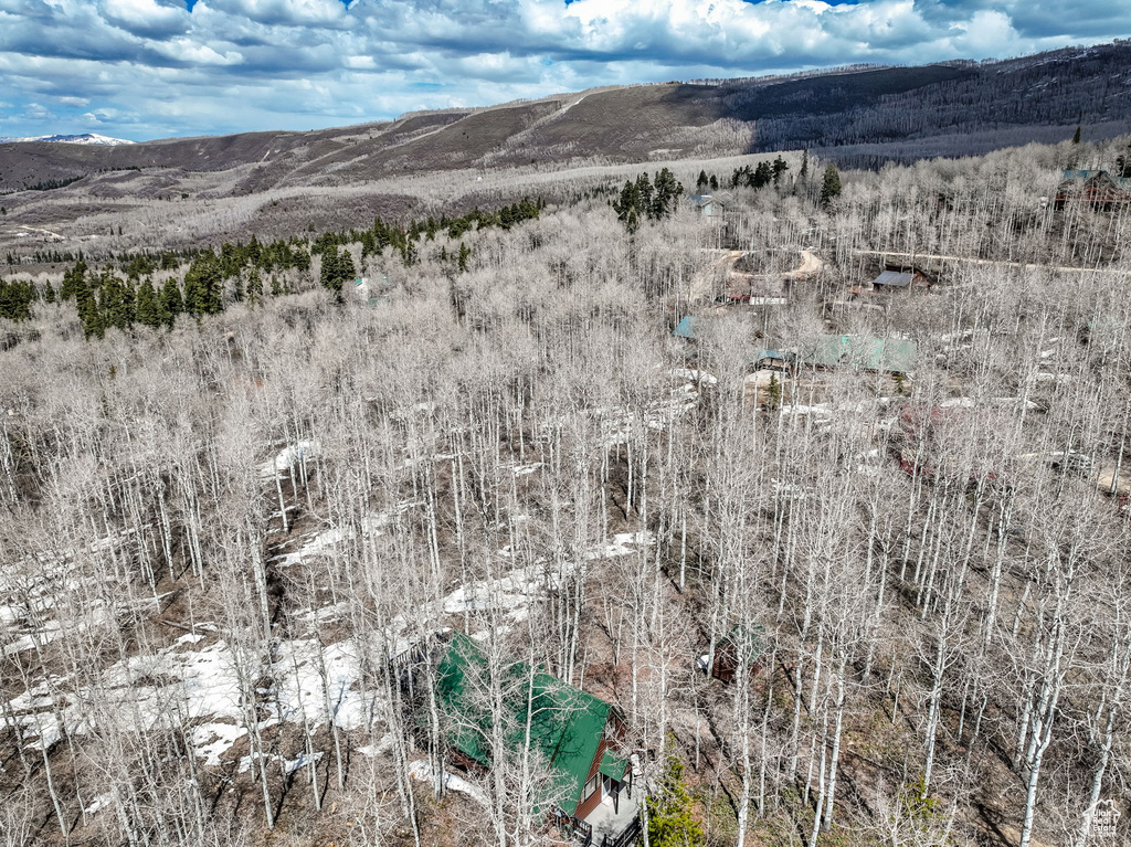 Aerial view featuring a mountain view