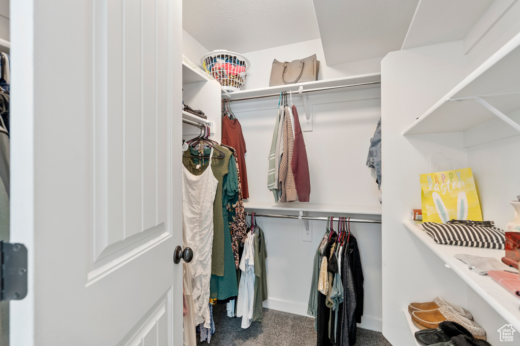 Spacious closet featuring carpet flooring