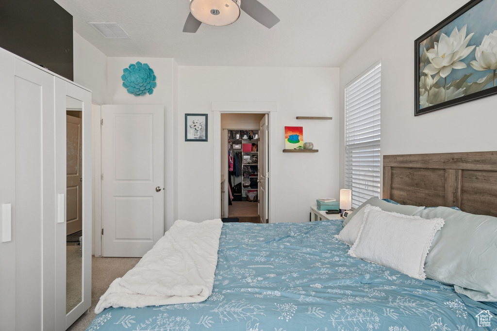Bedroom featuring a walk in closet, carpet flooring, a ceiling fan, and a closet