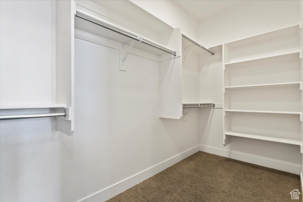 Spacious closet with dark carpet