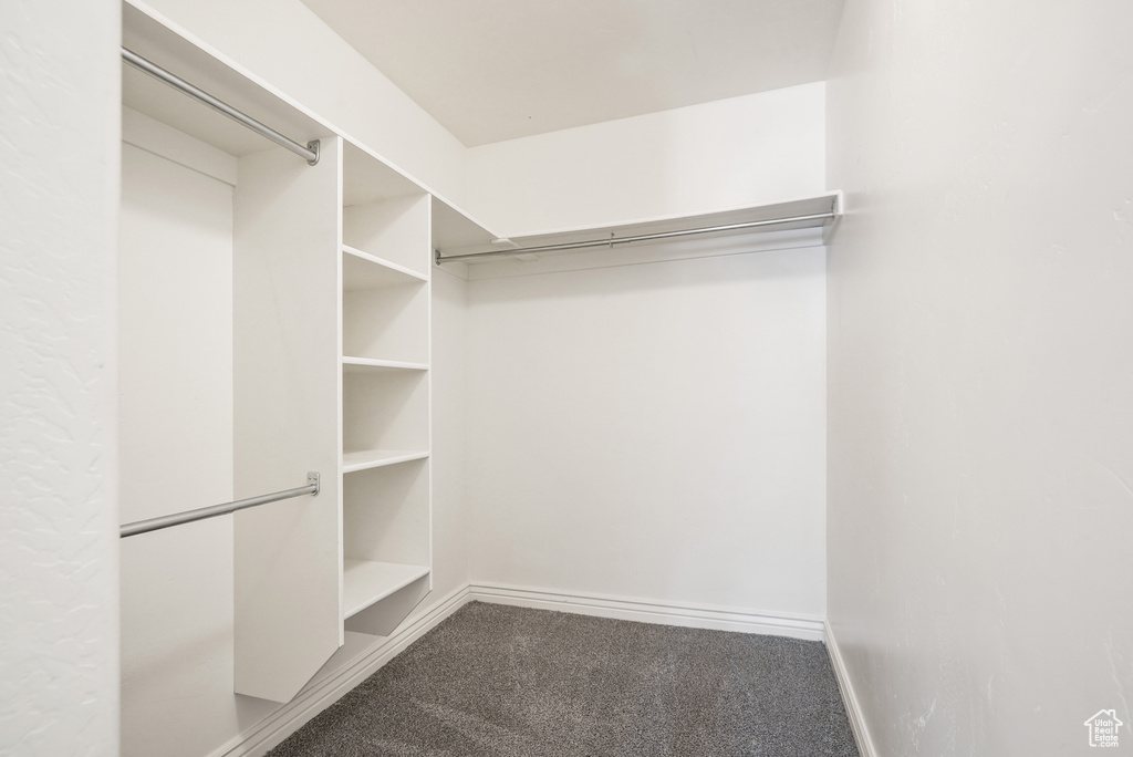 Spacious closet featuring carpet