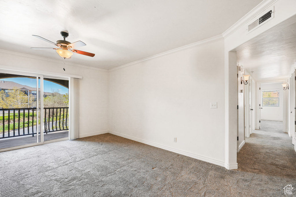 Carpeted empty room with visible vents, a ceiling fan, baseboards, and a wealth of natural light
