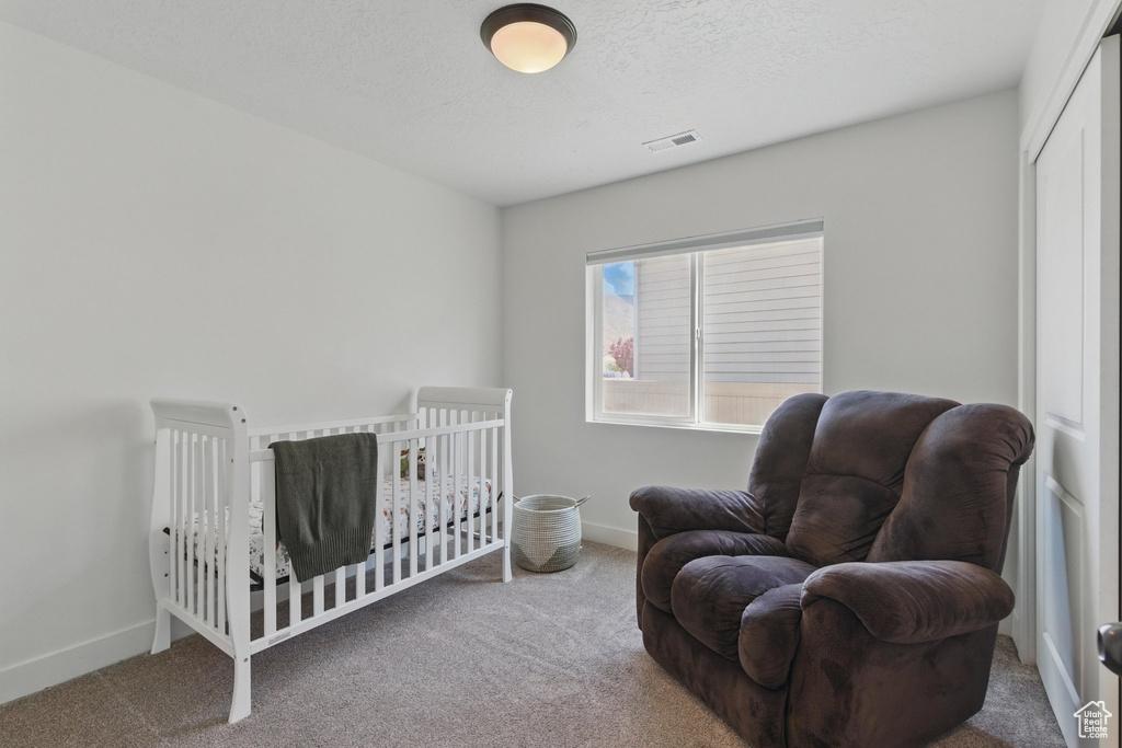 Carpeted bedroom with baseboards, a closet, a textured ceiling, and visible vents
