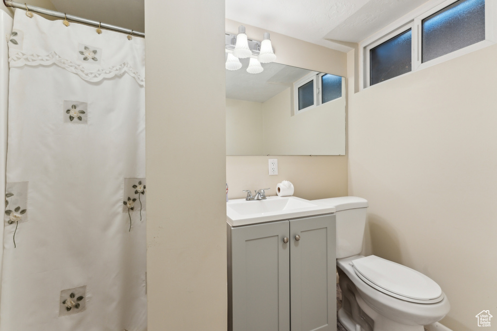 Full bathroom featuring toilet, curtained shower, and vanity