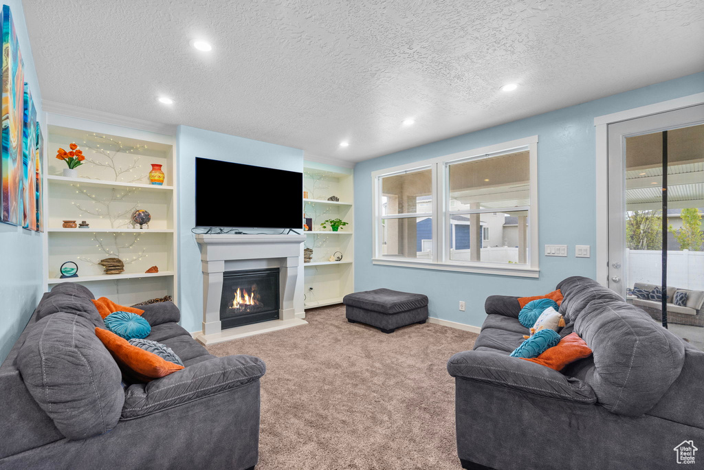 Living room featuring carpet, a textured ceiling, and a healthy amount of sunlight