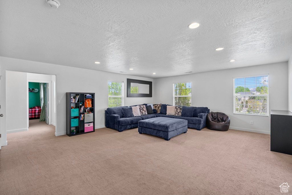 Living room with carpet floors, a textured ceiling, and baseboards