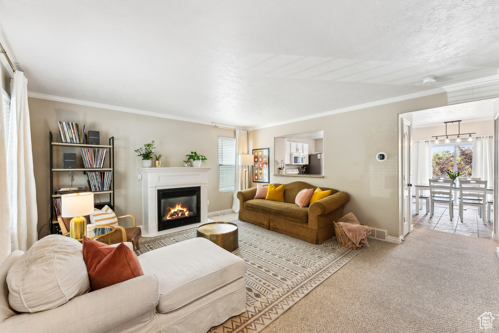 Carpeted living area with crown molding, baseboards, and a healthy amount of sunlight