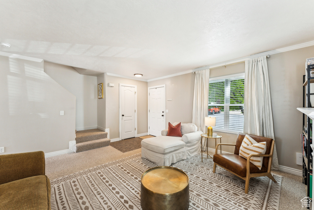 Carpeted living room featuring crown molding and baseboards