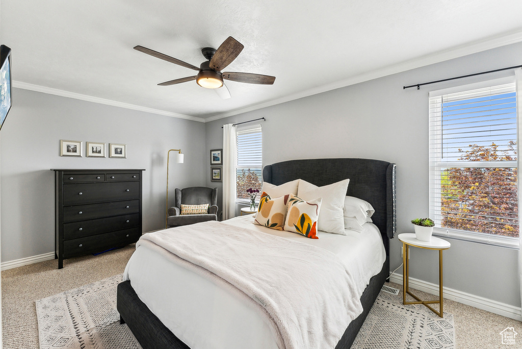 Bedroom featuring baseboards, carpet floors, and multiple windows