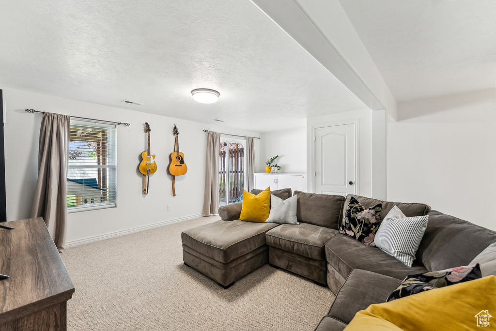Carpeted living area featuring a healthy amount of sunlight and baseboards