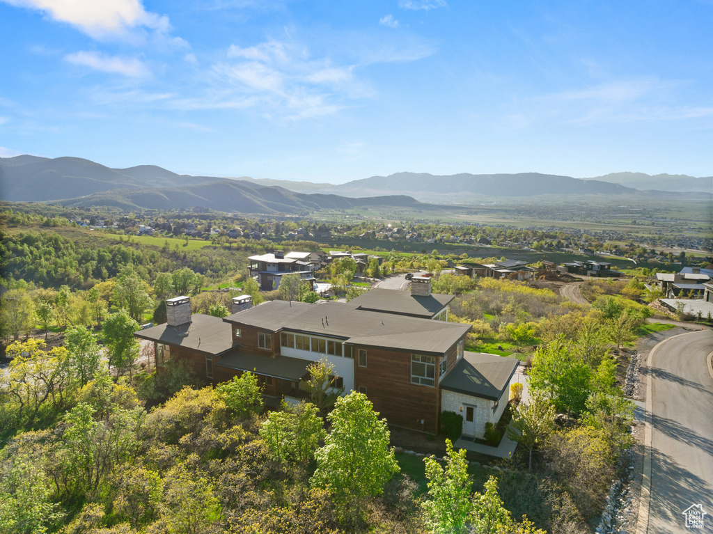 Bird's eye view of a mountain backdrop