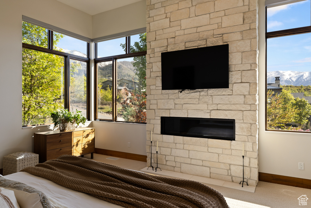 Bedroom with baseboards, multiple windows, and carpet flooring