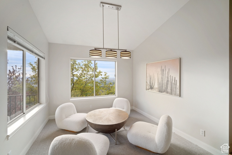 Living area featuring baseboards, lofted ceiling, plenty of natural light, and carpet