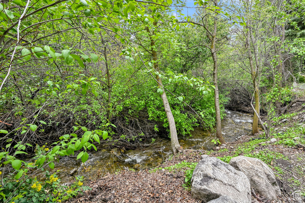 View of nature