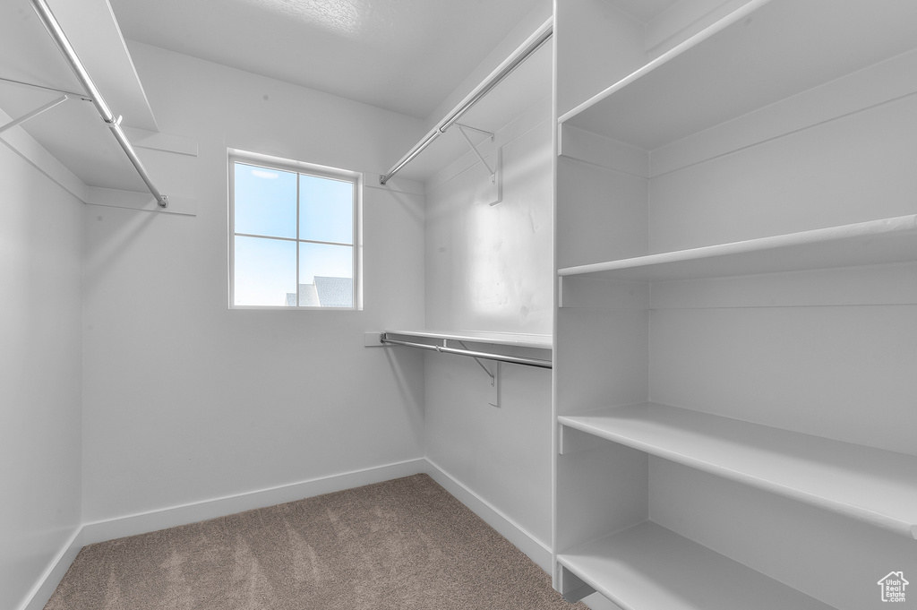 Walk in closet featuring carpet floors