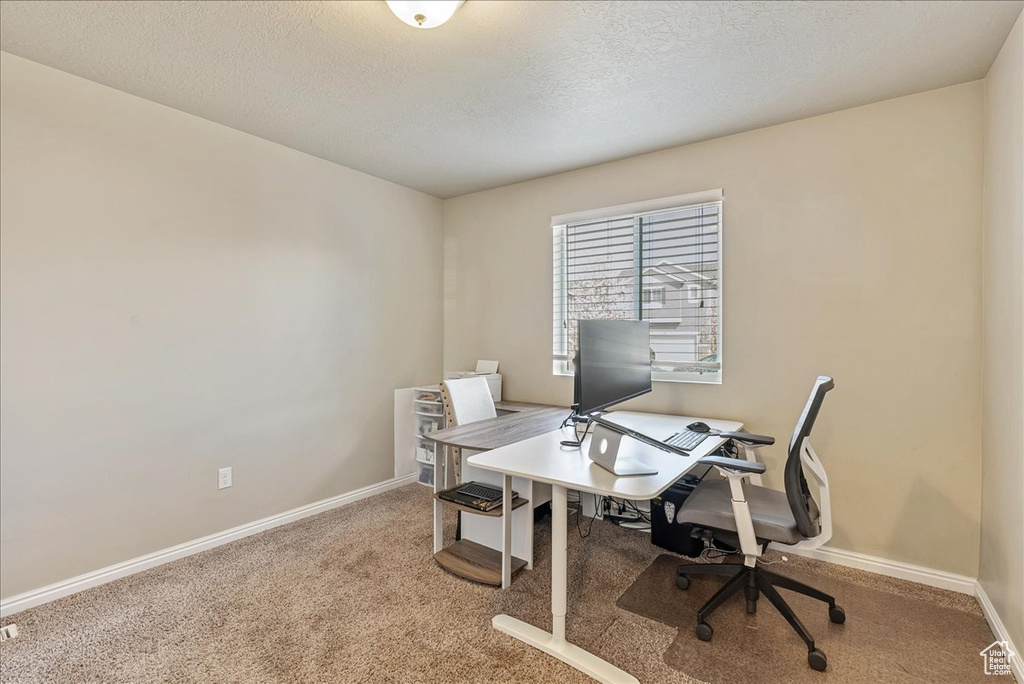 Carpeted office space featuring baseboards and a textured ceiling