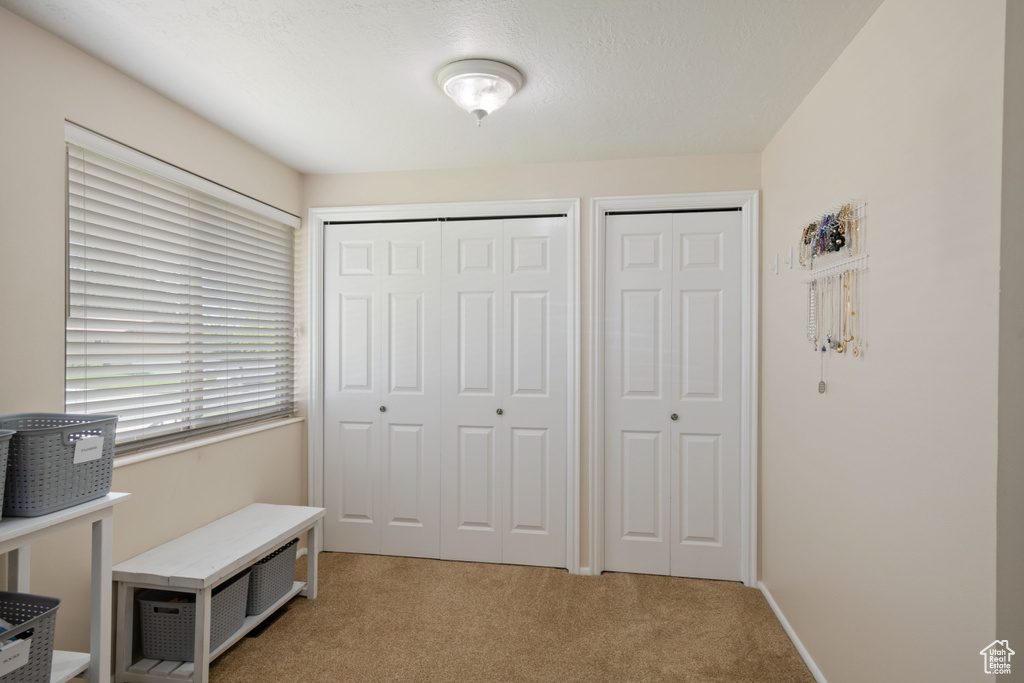 Interior space featuring multiple closets and light carpet