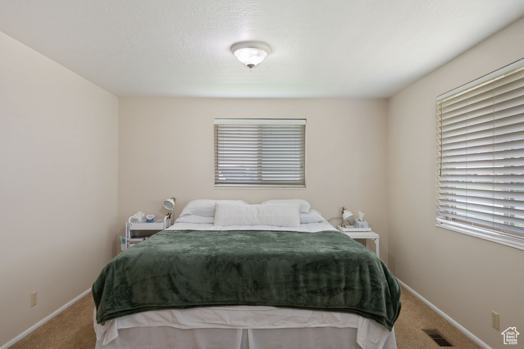 Carpeted bedroom with baseboards and visible vents
