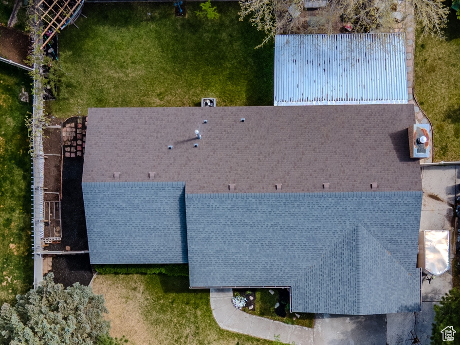Bird\'s eye view