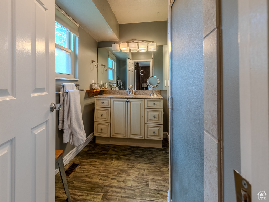 Bathroom featuring vanity, baseboards, wood finished floors, and visible vents