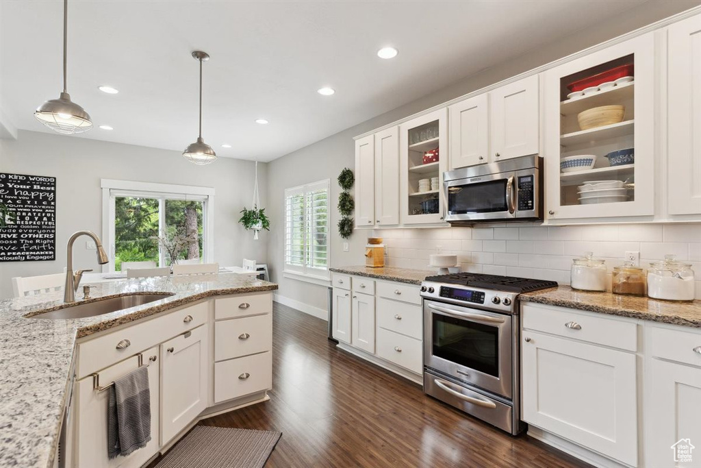 Kitchen featuring backsplash, dark wood finished floors, a sink, stainless steel appliances, and recessed lighting