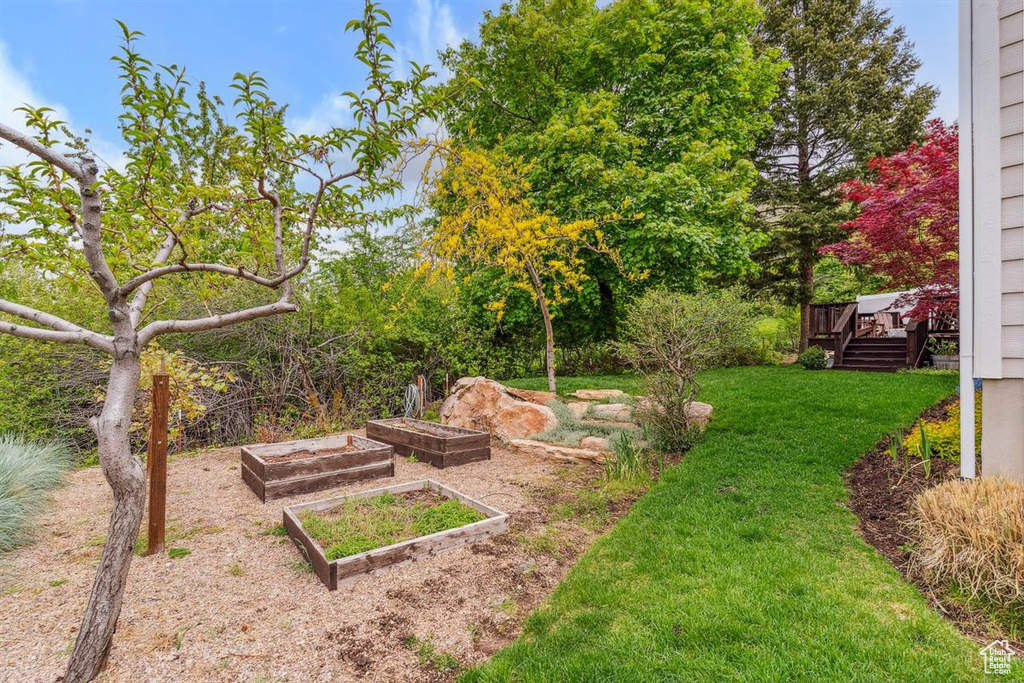 View of yard featuring a wooden deck and a vegetable garden