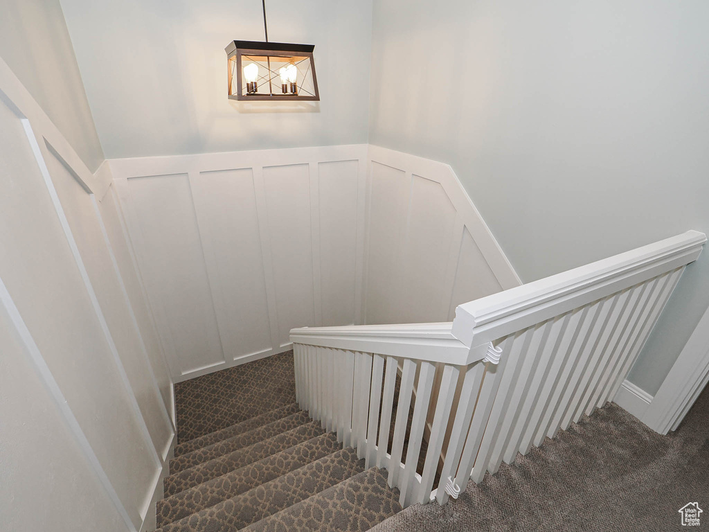 Stairway with wainscoting, carpet, and a decorative wall