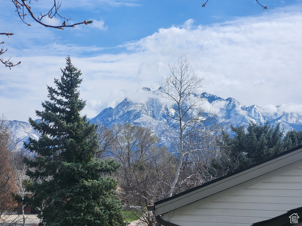 Mountain view