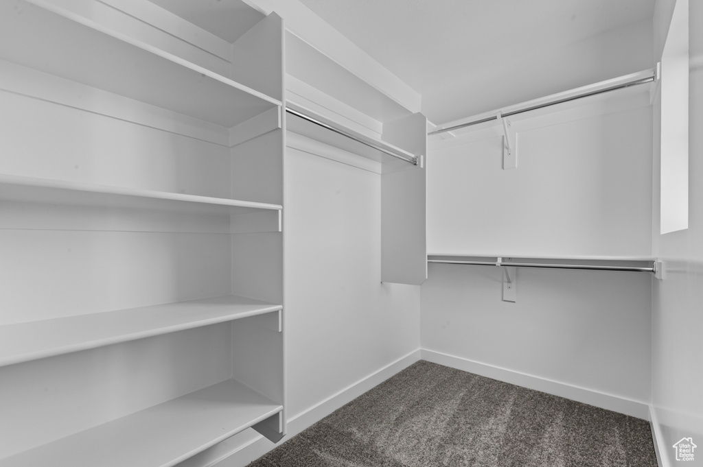 Walk in closet featuring dark carpet