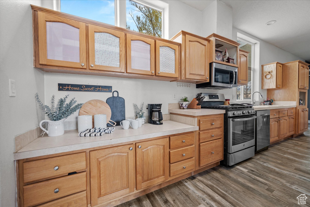 Kitchen with dark wood-style flooring, stainless steel appliances, glass insert cabinets, and light countertops