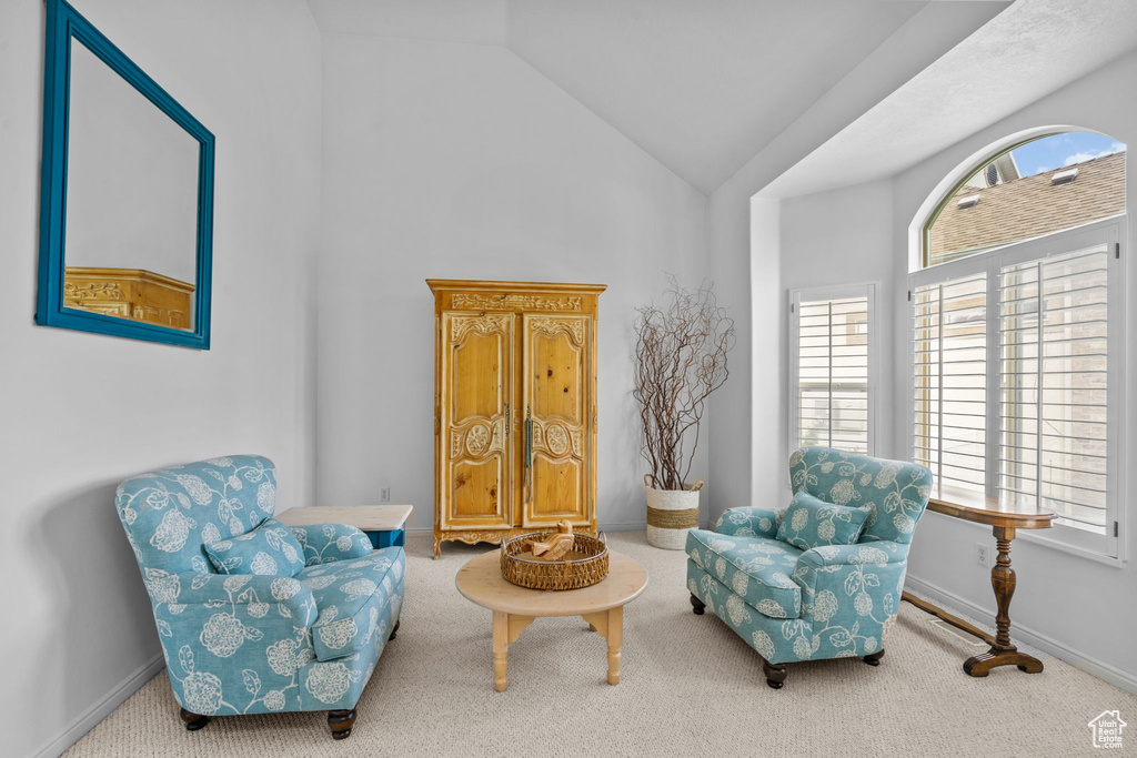 Sitting room with a healthy amount of sunlight, high vaulted ceiling, and carpet flooring