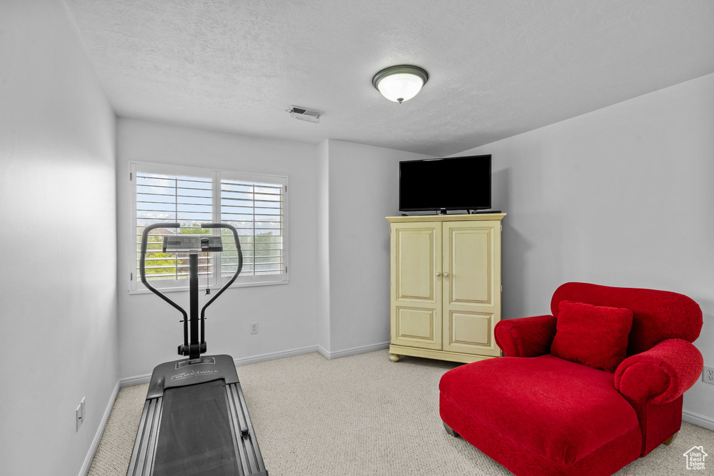 Exercise room featuring a textured ceiling, visible vents, baseboards, and carpet