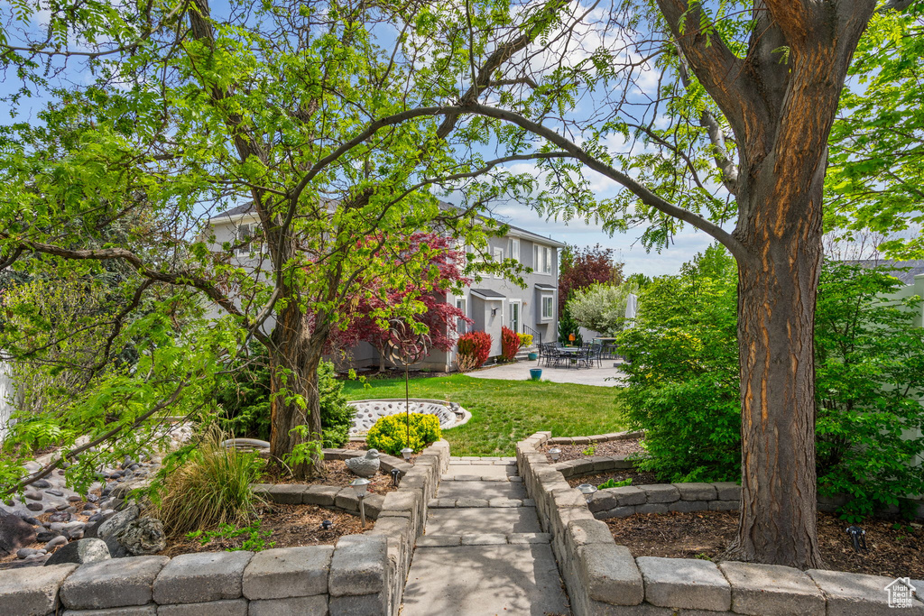 View of yard with a patio