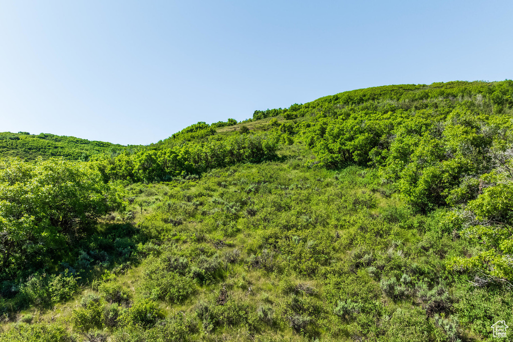 View of nature featuring a forest view