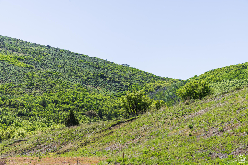 View of mountain feature