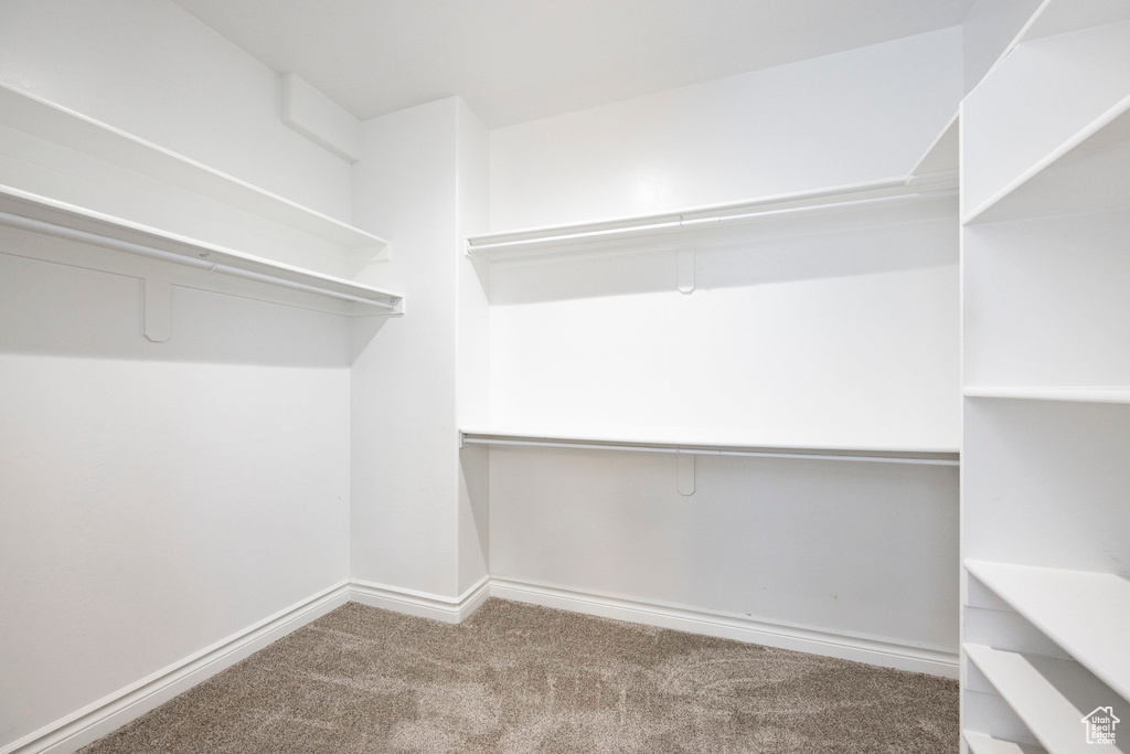Walk in closet with carpet floors