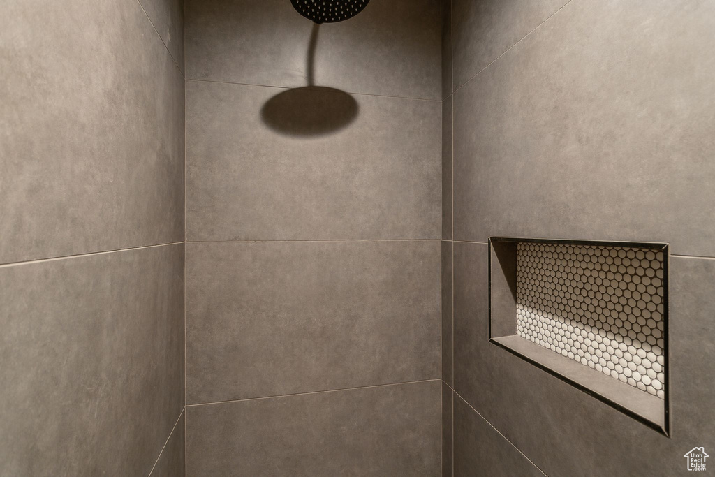 Interior details with tiled shower
