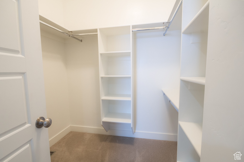 Spacious closet featuring carpet floors