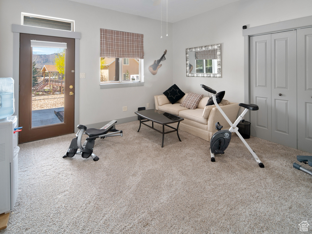Workout room with carpet floors and a healthy amount of sunlight